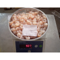 High Quality Frozen Argentina Crystal Red Pud Shrimp